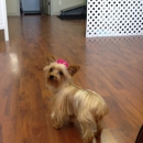 Tiffany's Pet Spa - Kennels
