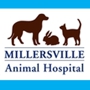 Millersville Animal Hospital - Timothy S Trigilio DVM