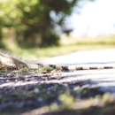Southern Exterminating & Wildlife Removal - Pest Control Services