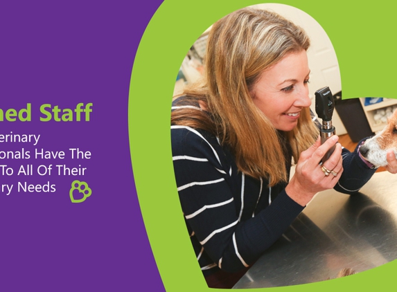 PetFocus Vetcare - Lavington, NSW. Trained Staff