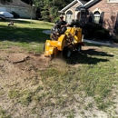 Hometown Tree Service - Tree Service
