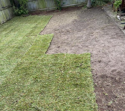 Able Lawns & Gardening Service - Strathfield, NSW. Great new lawn professionally laid able lawns and gardening services