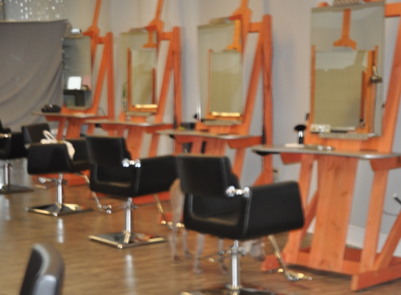 The Art of Hair, Inc. - Apollo Beach, FL