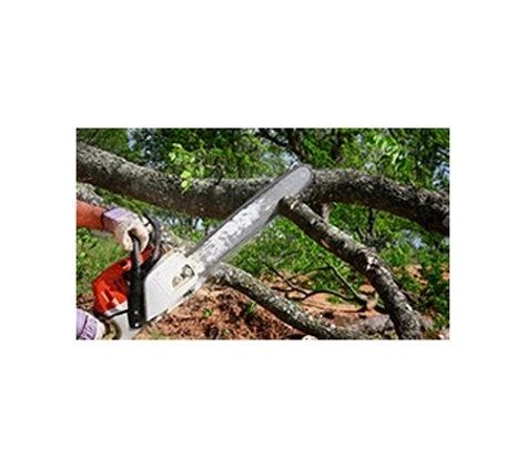 Geoff Gerrish Tree Stump Removals