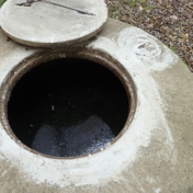Gallery Image Number 6