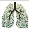 Copd Respiratory & Mobility Solutions gallery