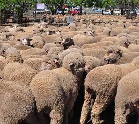 Rural Financial Counselling Service NSW - Northern Region - Narrabri, NSW