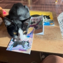 Bertha's Beans Cat Cafe - Beverages
