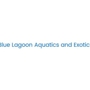 Blue Lagoon Aquatics And Exotics