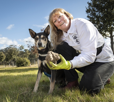 L'Air du Wombat Pty Ltd - Oallen, NSW