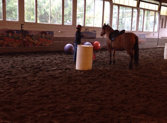 Wild Horse Mountain Ranch-A Rescue & Learning - Sherwood, OR