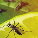Baldwin Pest Control - Pest Control Equipment & Supplies