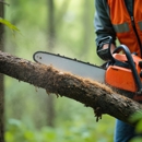 Alvin's Tree Service - Tree Service