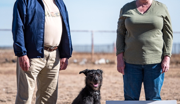 Lubbock Elite Dog Training