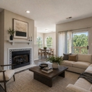 Highlands of Montour Run Apartment Homes - Apartments