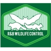 R&B Wildlife Control gallery