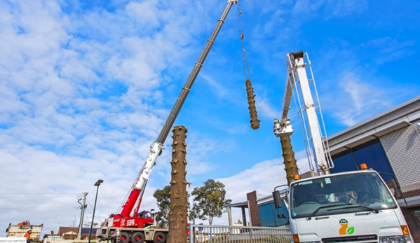 Western District Crane Services - Warrnambool, VIC