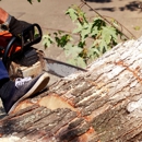 Johnson Tree Co - Tree Service