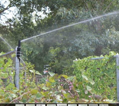 Free Flow Irrigation & Landscape