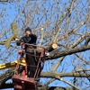 Emergency Tree Service gallery