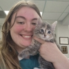 VCA Beacon Hill Cat Hospital gallery