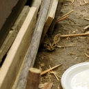 Family Pest Control - Pest Control Equipment & Supplies