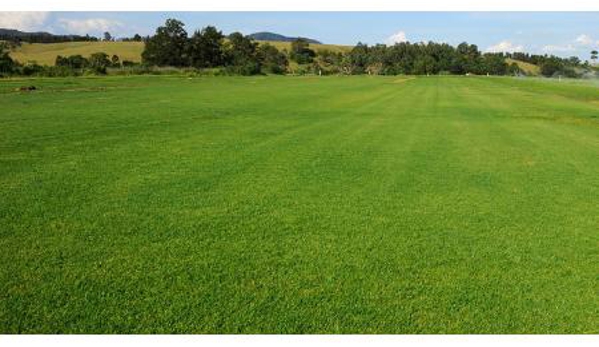 Deans Turf Supplies - Branxton, NSW