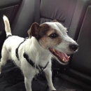 Animal Medical Center McKinney - Randall K Hickman DVM - CLOSED
