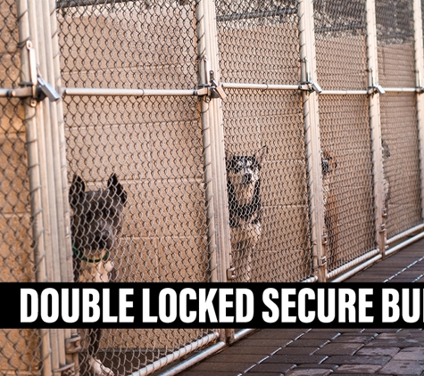 Grindelwald Kennels & Cattery - Legana, TAS. Double Locked Secure Building