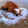 Radich Heating Air Conditioning & Refrigeration Inc gallery