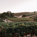 Fableist Wine Co.