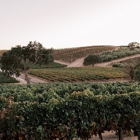 Fableist Wine Co.