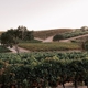 Fableist Wine Co.