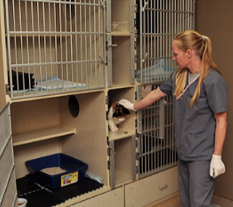 Lincoln  Park Veterinary Hospital - Lincoln Park, MI