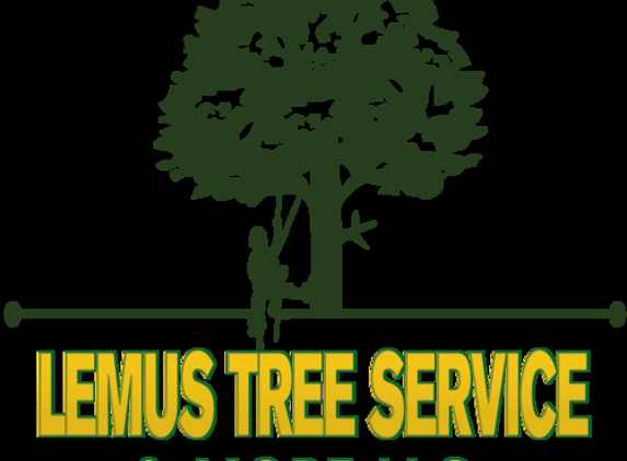 Lemus Tree Service & More LLC - Wappinger Falls, NY