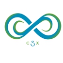 CSX Corp. - Computer Network Design & Systems