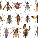 Texoma Pest Management