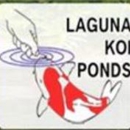Laguna Koi Ponds - Building Specialties