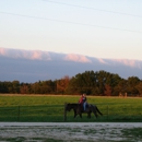 Feather Mountain Ranch - Horse Stables