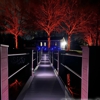 Forever Glow Lighting gallery