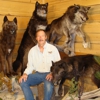 Fetzner Taxidermy gallery