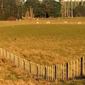 Gallery Image Number 6