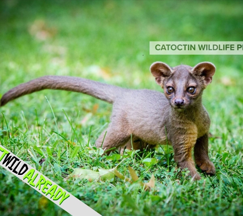 Catoctin Wildlife Preserve - Thurmont, MD
