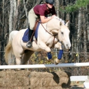 Llewellyn Acres - Horse Training