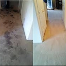 Upholstery Cleaning Los Angeles - Carpet & Rug Cleaners