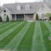 Luigislawncare( get you free cut!! Call now) gallery