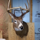 Milk Hill Taxidermy - Taxidermists