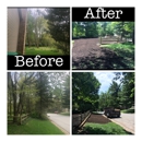 Above & Beyond Tree and Shrubbery Service - Tree Service