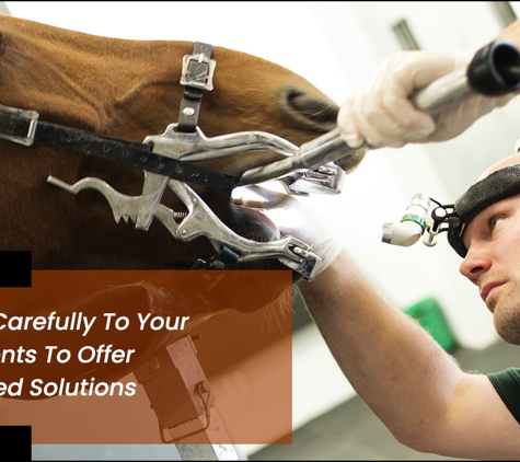 Warren Brett Equine Veterinarian - Mangrove Mountain, NSW. We Listen Carefully To Your Requirements To Offer Personalised Solutions