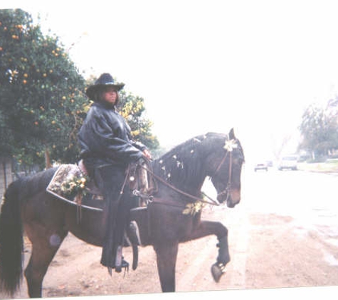 Discover Essential Horsemanship - Moorpark, CA